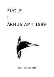 Fugle i Århus Amt 1999 - DOF Østjylland
