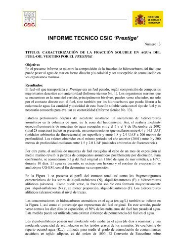 INFORME TECNICO CSIC 'Prestige'