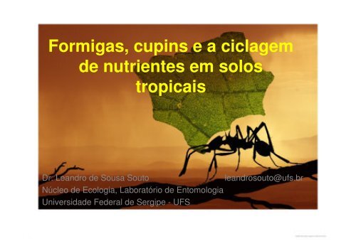 Formigas, cupins e a ciclagem de nutrientes em solos tropicais