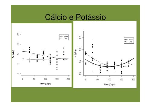 Formigas, cupins e a ciclagem de nutrientes em solos tropicais