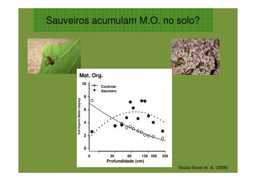 Formigas, cupins e a ciclagem de nutrientes em solos tropicais