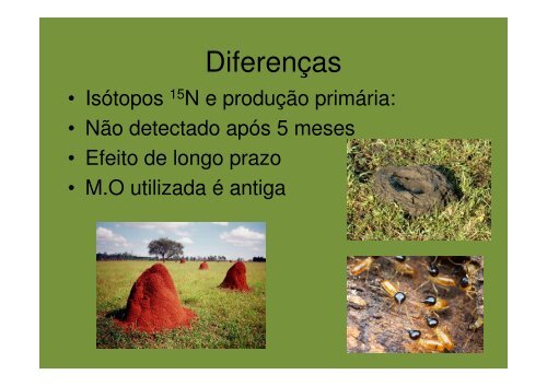 Formigas, cupins e a ciclagem de nutrientes em solos tropicais