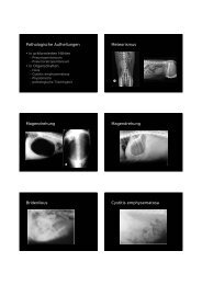 Pathologische Aufhellungen Meteorismus ... - Vet-roentgen.at