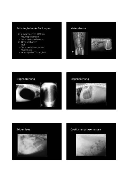 Pathologische Aufhellungen Meteorismus ... - Vet-roentgen.at