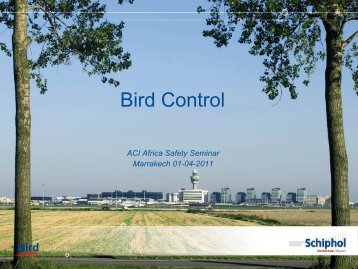 2. Bird Control at Schiphol