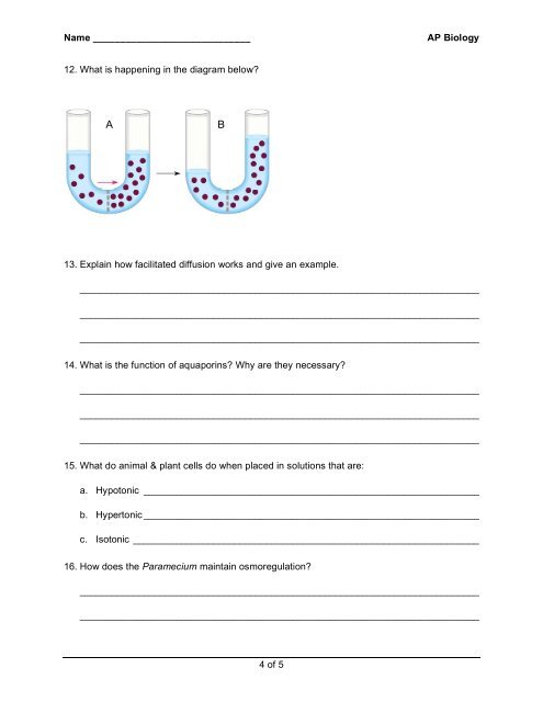 Raven (7th) Guided Notes Chapter 6 - Explore Biology