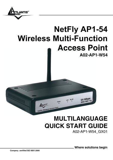 NetFly AP1-54 Wireless Multi-Function Access Point - Atlantis Land