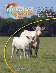 Southern Connection - American International Charolais Association