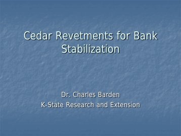 Red cedar revetments for bank stabilization