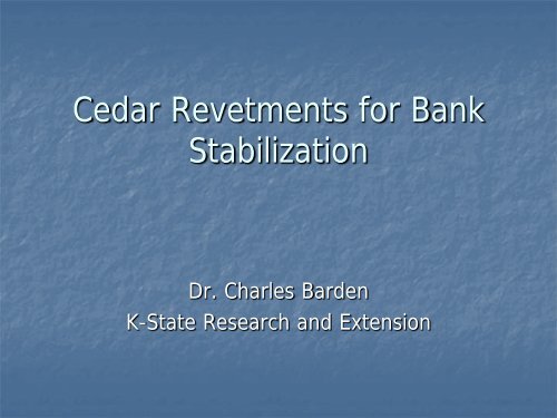 Red cedar revetments for bank stabilization