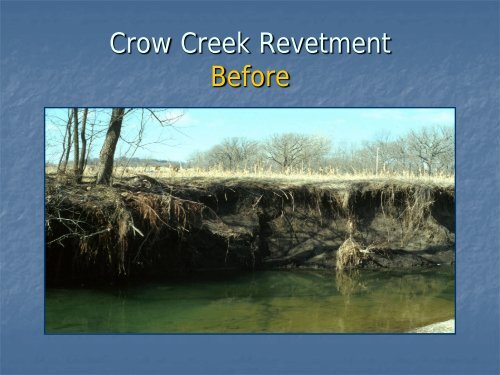 Red cedar revetments for bank stabilization