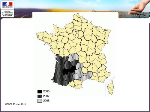 L'apiculture en Vaucluse