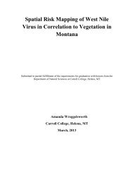 Spatial Risk Mapping of West Nile Virus in ... - Carroll College