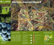 Cartina - Strade del Vino e dei Sapori del Trentino