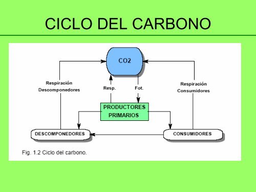 FISIOLOGIA VEGETAL - Facultad de Ciencias Agropecuarias