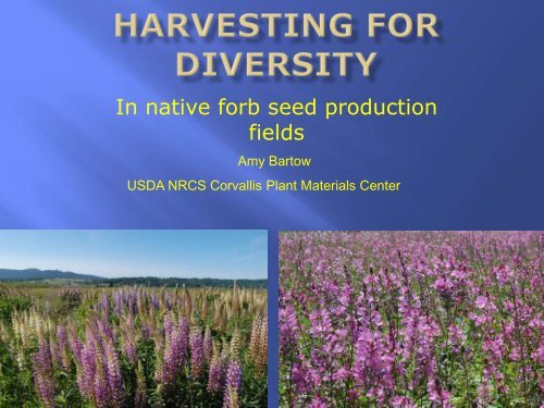 Presentation (PDF) - National Native Seed Conference