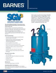 SGV Brochure - Crane Pumps & Systems
