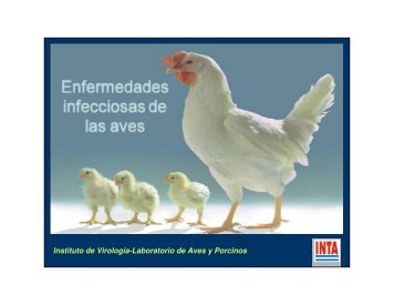 Enfermedades virales de las aves - Veterinaria.org