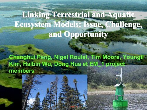 Linking Terrestrial and Aquatic Ecosystem Models ... - EM-1 Project