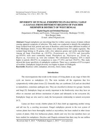 diversity of fungal endophytes in bauhinia vahlii (a lianas)