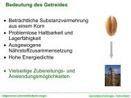 Vorlesung Getreidetechnologie - TU Berlin