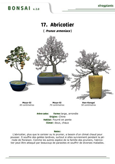 XfrogPlants | Bonsai Library