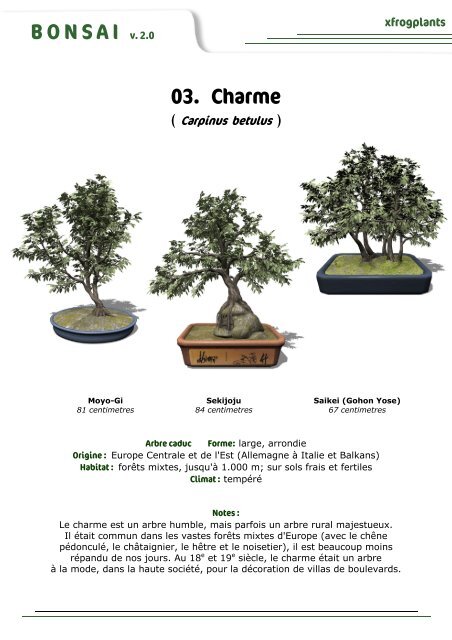 XfrogPlants | Bonsai Library