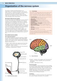 Organization of the nervous system - MedEd Connect