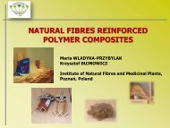 Natural Fibers Reinforced Polymers - Project T-Pot