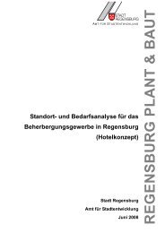 Bedarfsanalyse der Stadt Regensburg - Regensburg Digital