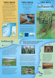 2 bays Saltmarsh.pdf - Wild Rye