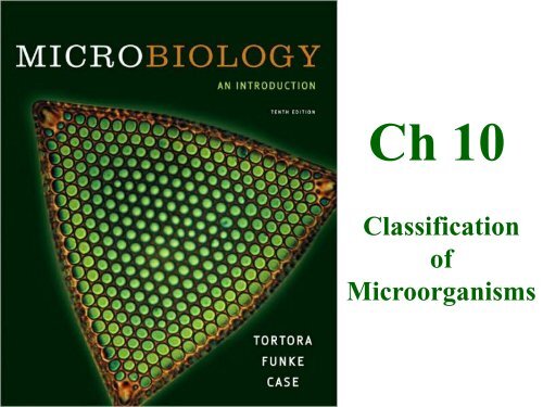 Classification of Microorganisms