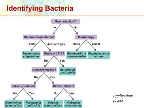 Classification of Microorganisms