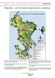 Mayotte : un territoire agricole en mutation - Odeadom