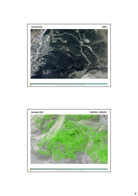 Anwendung von LiDAR im Wald in der Praxis - Planfor