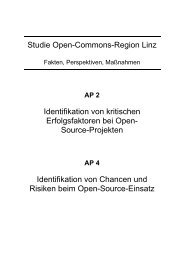 Studie Open-Commons-Region Linz Identifikation von kritischen ...