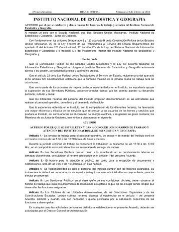 INSTITUTO NACIONAL DE ESTADÍSTICA Y GEOGRAFÍA - Inegi