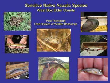 Sensitive Native Aquatic Species - Utah CBCP