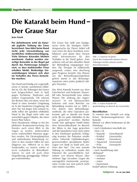 Die Katarakt Beim Hund Der Graue Star