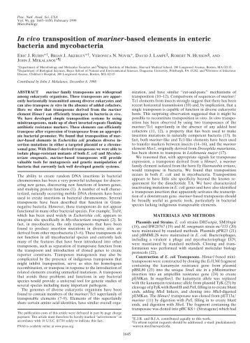 In vivo transposition of mariner-based elements in enteric bacteria ...