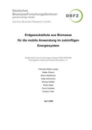 Erdgassubstitute aus Biomasse fÃ¼r die mobile ... - Biogaspartner