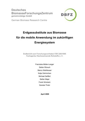 Erdgassubstitute aus Biomasse fÃ¼r die mobile ... - Biogaspartner