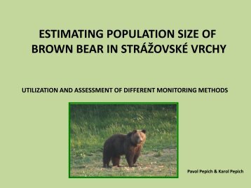 population size estimates