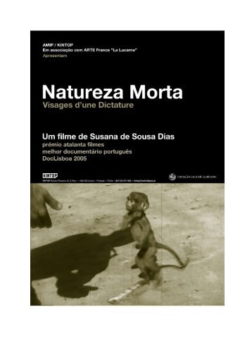 Natureza Morta - CEAS | Centro de Estudos de Antropologia Social