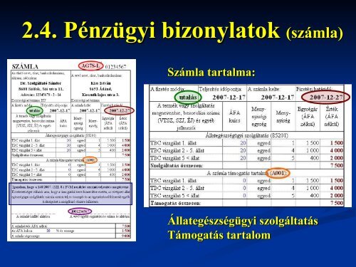 Az Ã¡llatorvosok Ã©s a 148/2007. (XII. 8.)FVM rendelet - Hungarovet