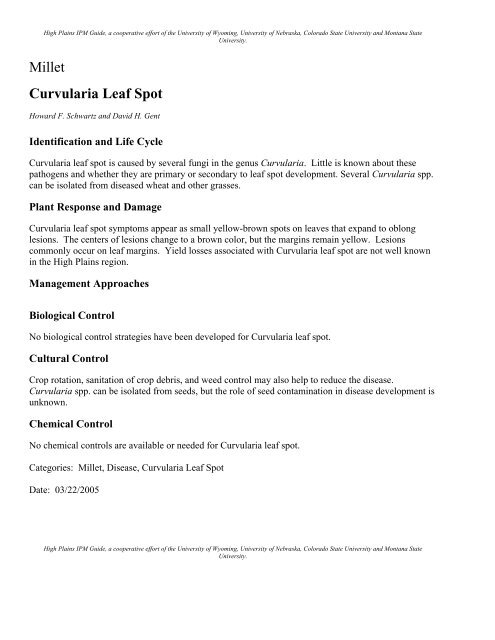 Millet Curvularia Leaf Spot