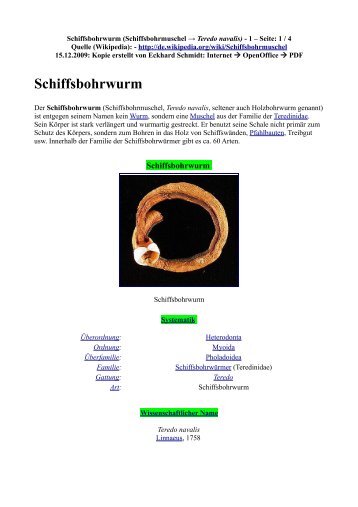 Schiffsbohrwurm - Eckhard Schmidt - Kappeln/Schlei