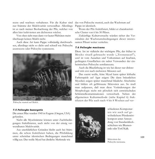 7. Charakteristik einzelner Pilzarten  - Die Reichsbewegung
