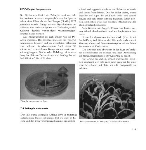 7. Charakteristik einzelner Pilzarten  - Die Reichsbewegung