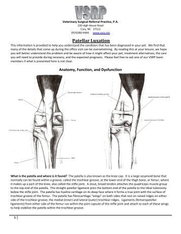 Medial Patellar Luxation - Veterinary Surgical Referral Practice